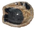 T25 - Madera Petrificada Indonesia - 55 x 52 x 15