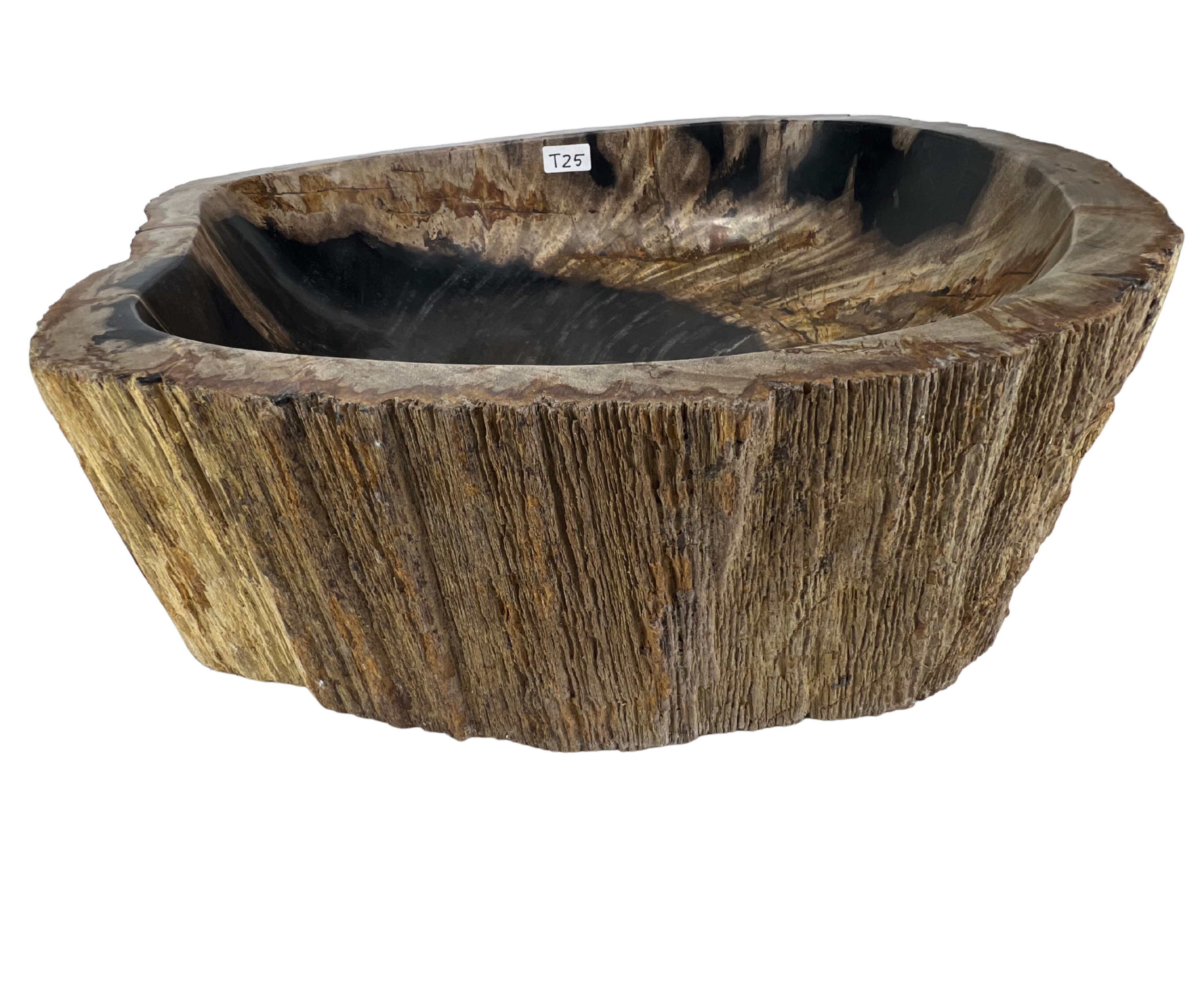 T25 - Madera Petrificada Indonesia - 55 x 52 x 15