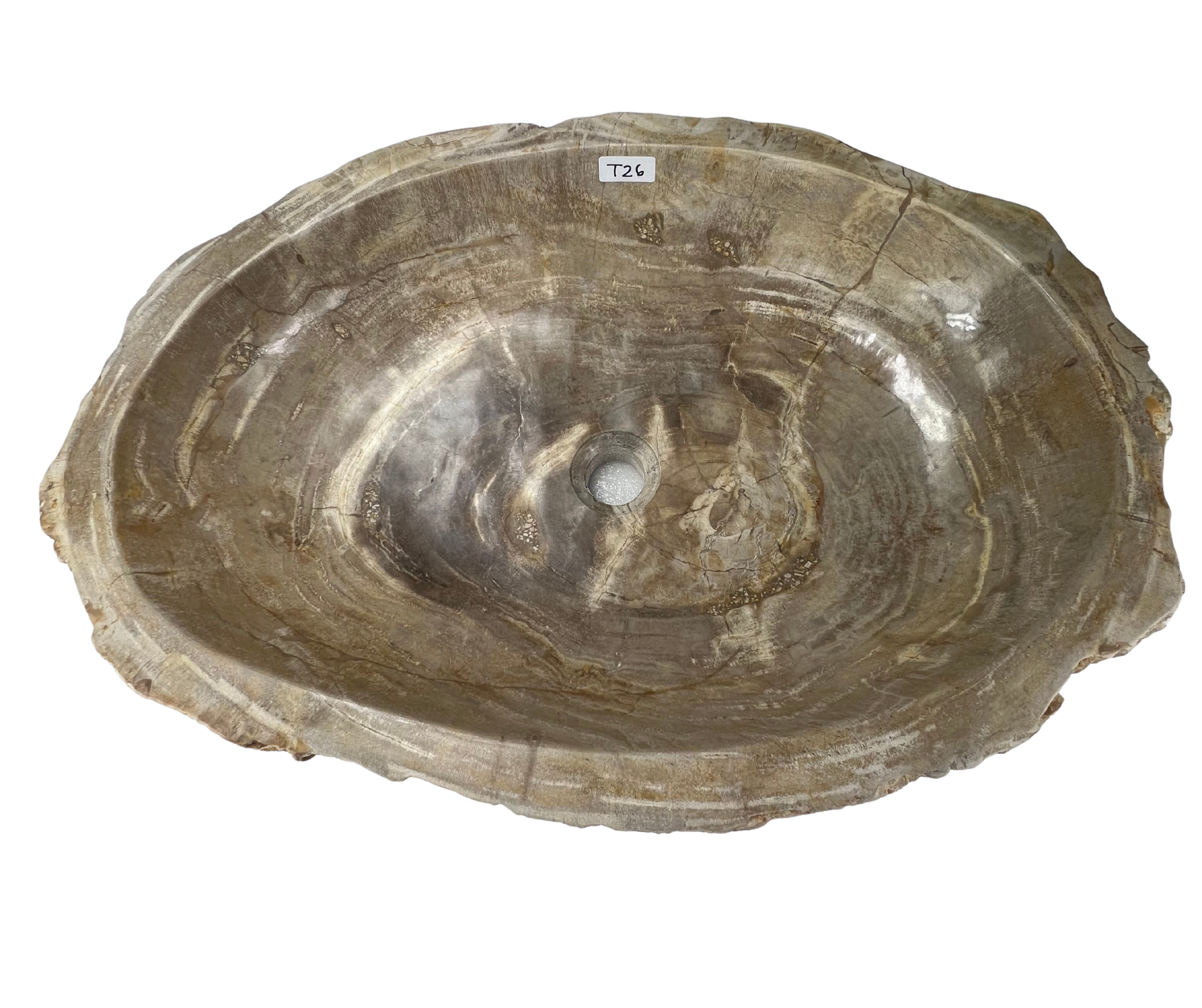 T26 - Madera Petrificada Indonesia - 63 x 43 x 15