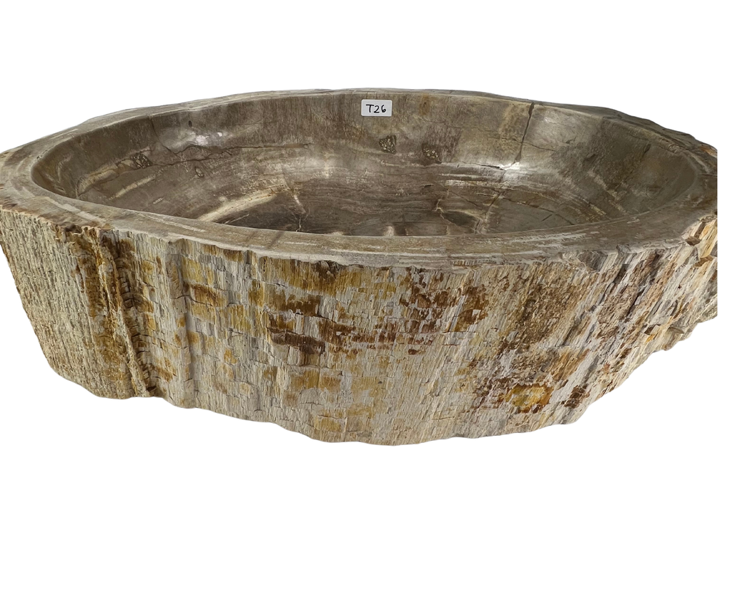 T26 - Madera Petrificada Indonesia - 63 x 43 x 15