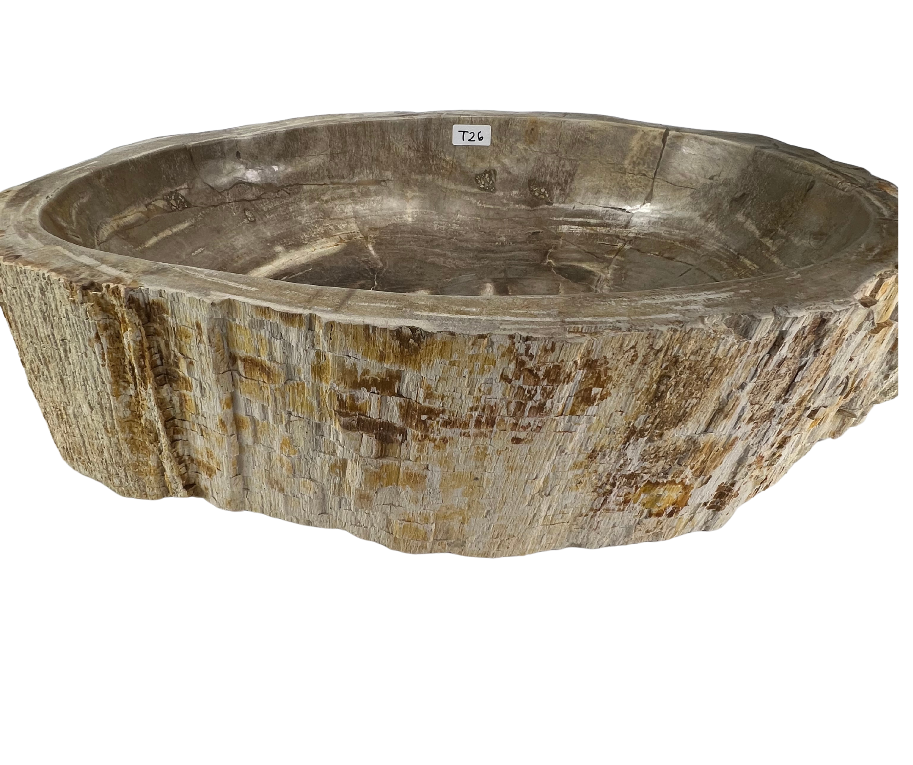 T26 - Madera Petrificada Indonesia - 63 x 43 x 15