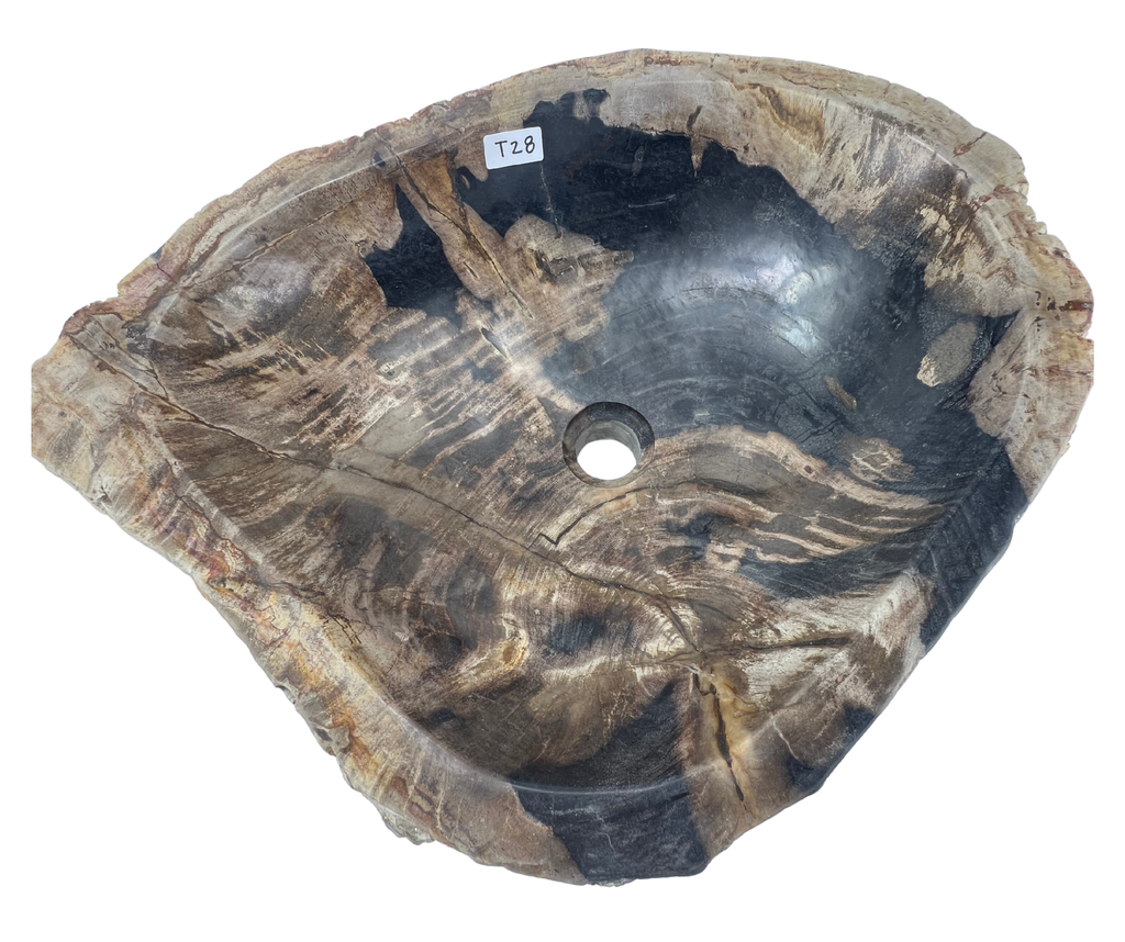 T28 - Madera Petrificada Indonesia - 57 x 45 x 16