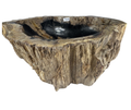 T29 - Madera Petrificada Indonesia - 58 x 48 x 16