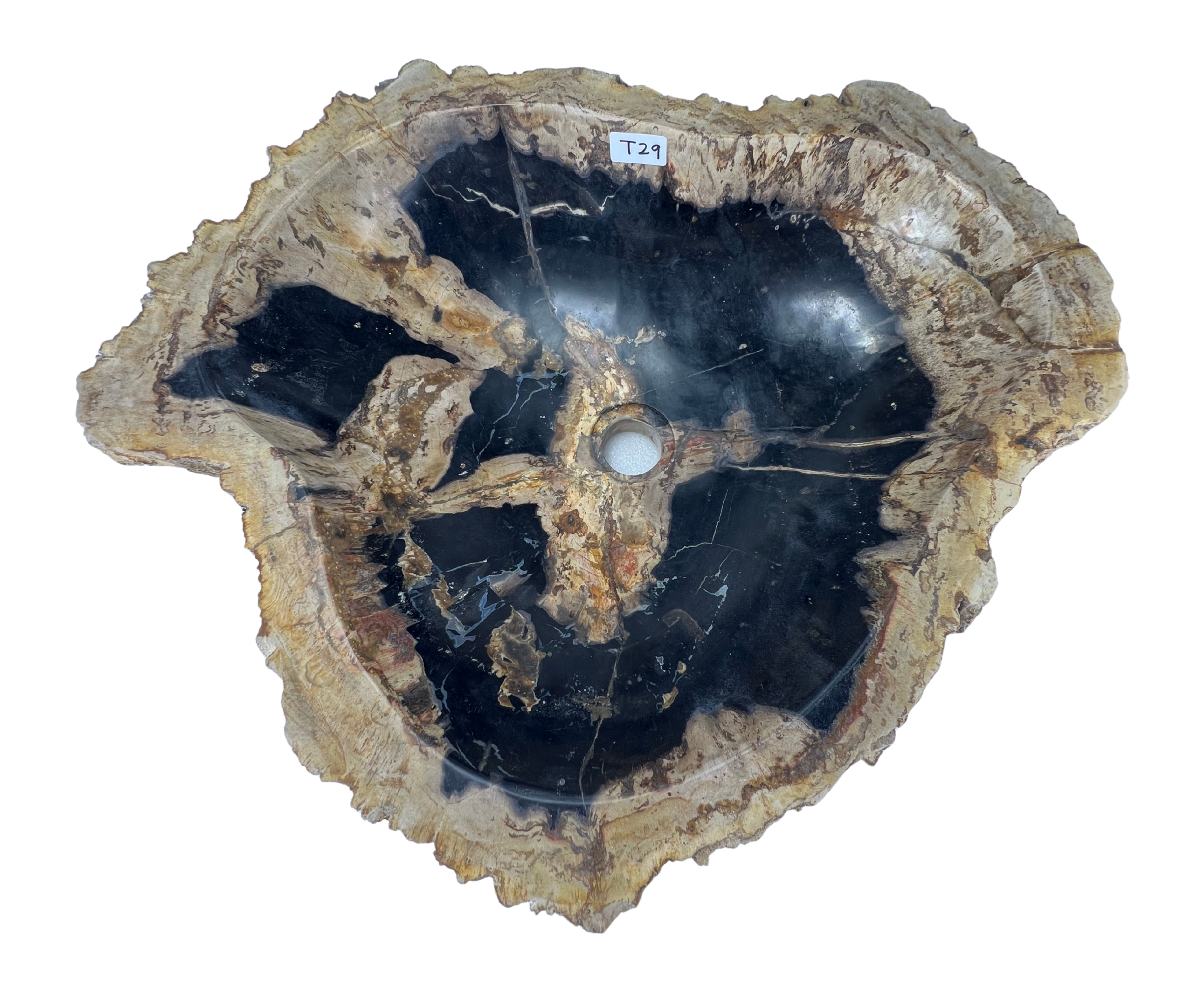 T29 - Madera Petrificada Indonesia - 58 x 48 x 16
