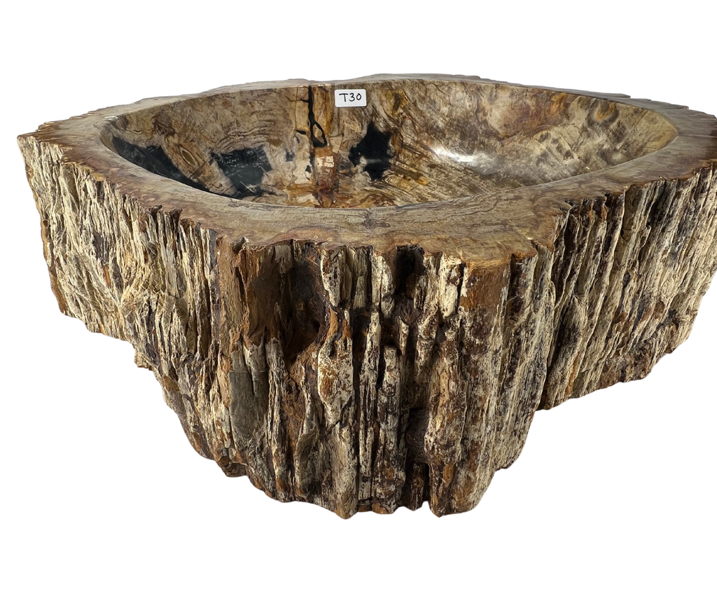 T30 - Madera Petrificada Indonesia - 57 x 51 x 16