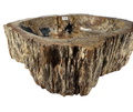 T30 - Madera Petrificada Indonesia - 57 x 51 x 16