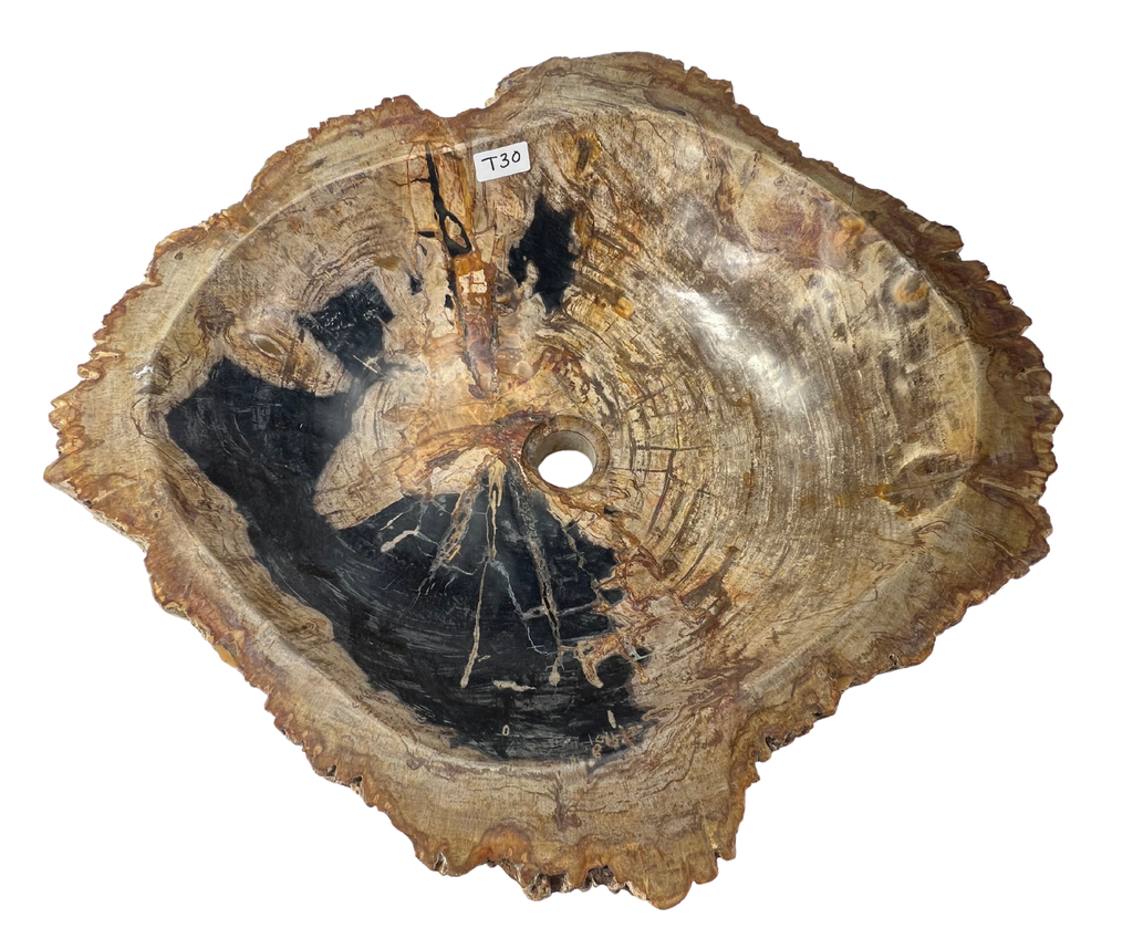 T30 - Madera Petrificada Indonesia - 57 x 51 x 16