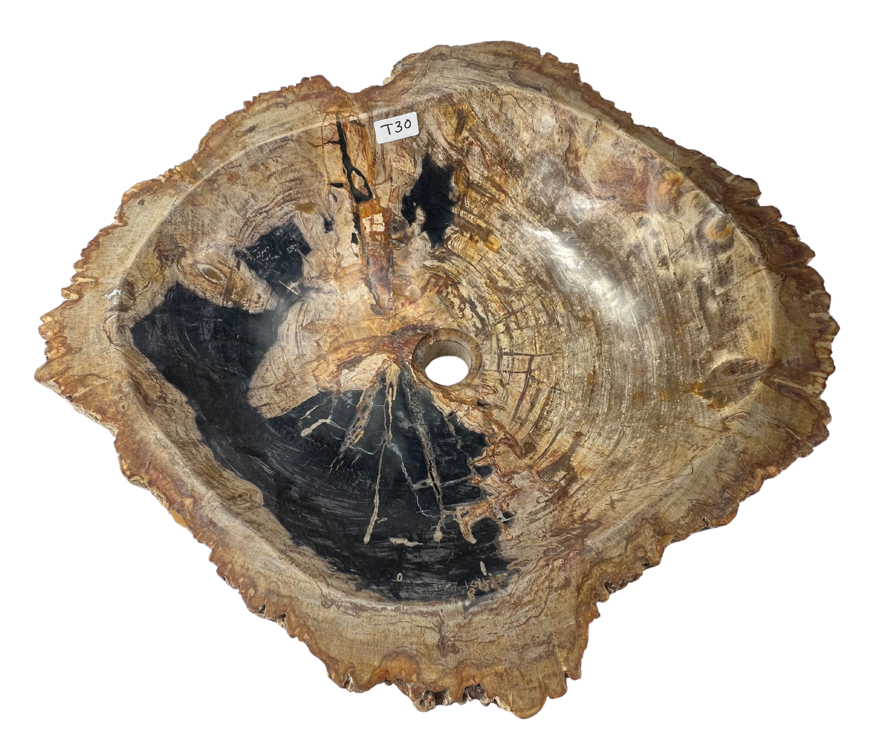 T30 - Madera Petrificada Indonesia - 57 x 51 x 16
