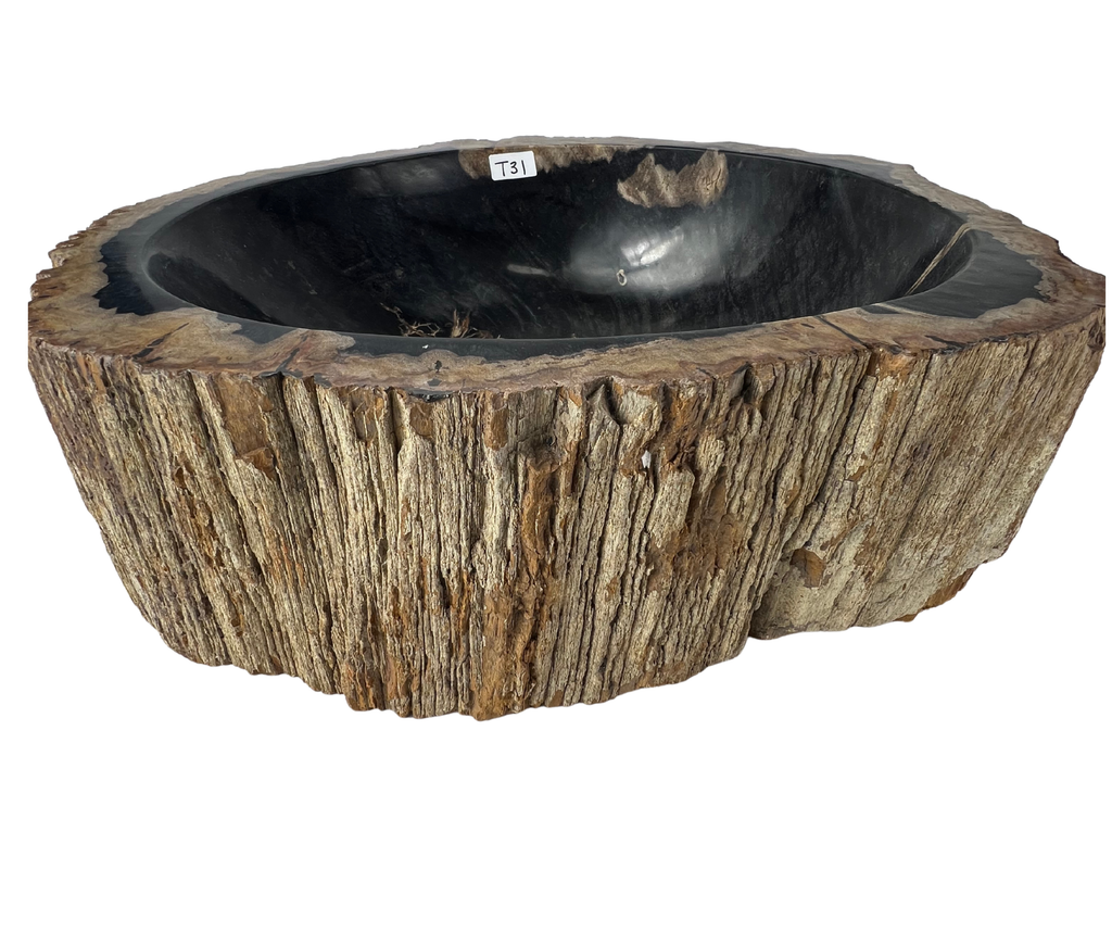 T31 - Madera Petrificada Indonesia - 53 x 47 x 15