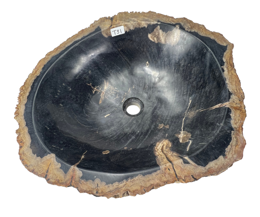T31 - Madera Petrificada Indonesia - 53 x 47 x 15