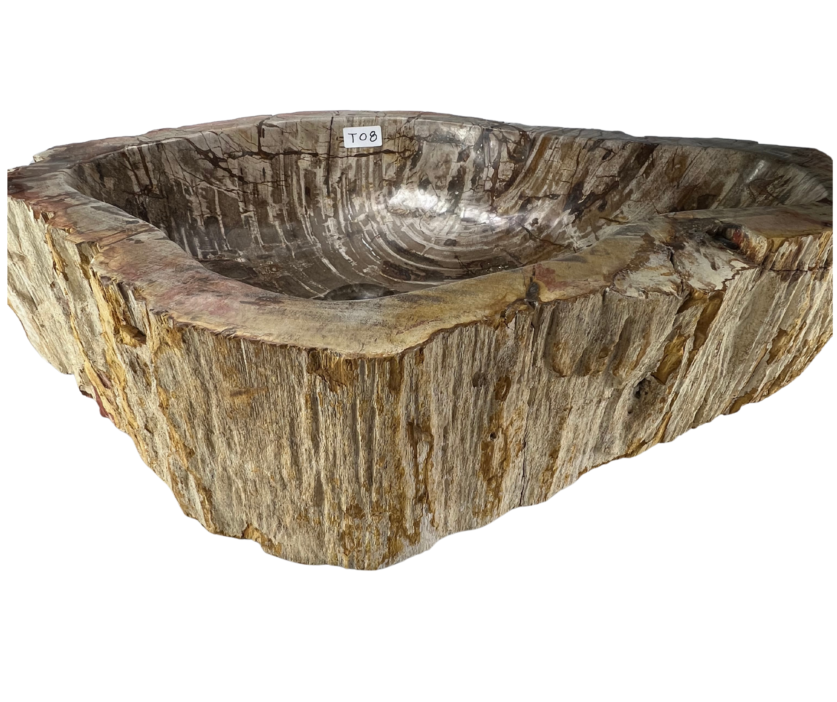 T08 - Madera Petrificada Indonesia - 66 x 46 x 15