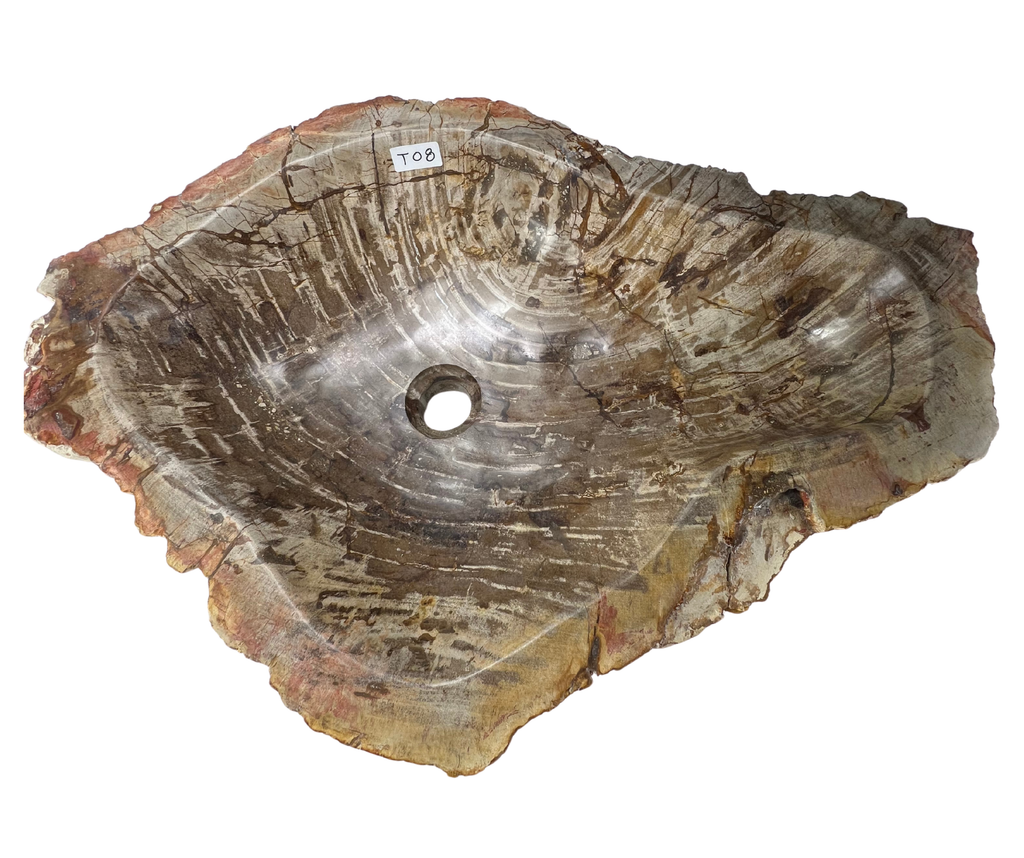 T08 - Madera Petrificada Indonesia - 66 x 46 x 15