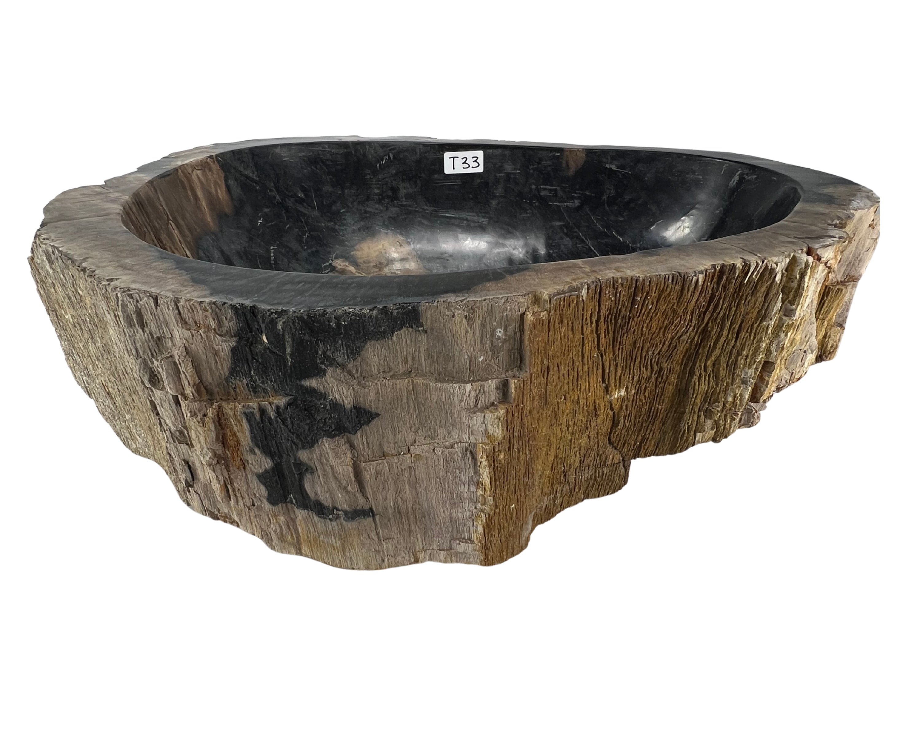 T33 - Madera Petrificada Indonesia - 55 x 46 x 15.5