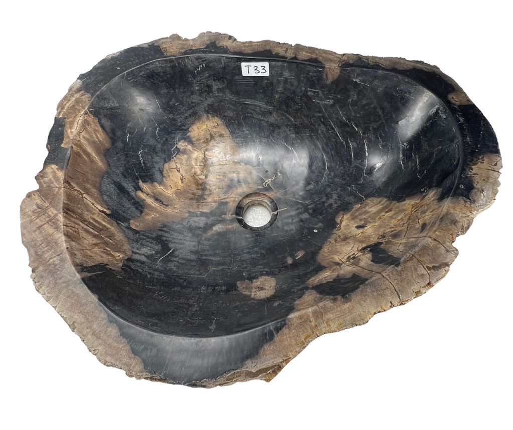 T33 - Madera Petrificada Indonesia - 55 x 46 x 15.5