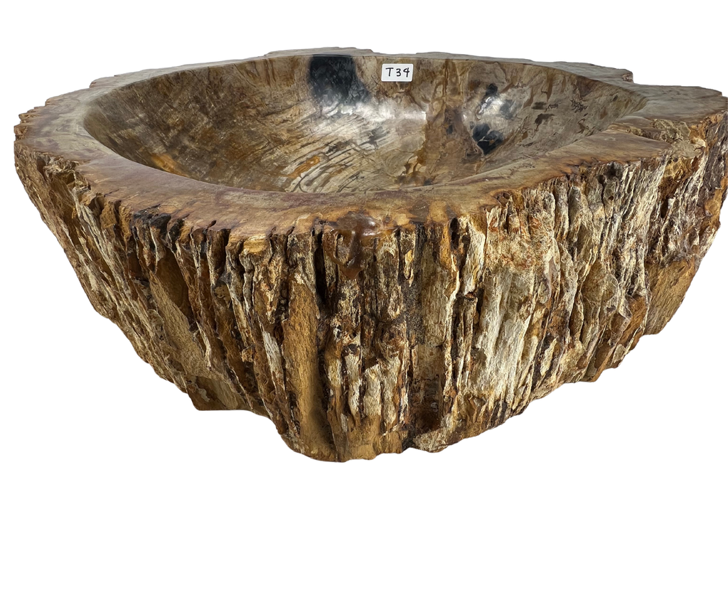 T34 - Madera Petrificada Indonesia - 57 x 55 x 15