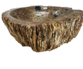 T34 - Madera Petrificada Indonesia - 57 x 55 x 15