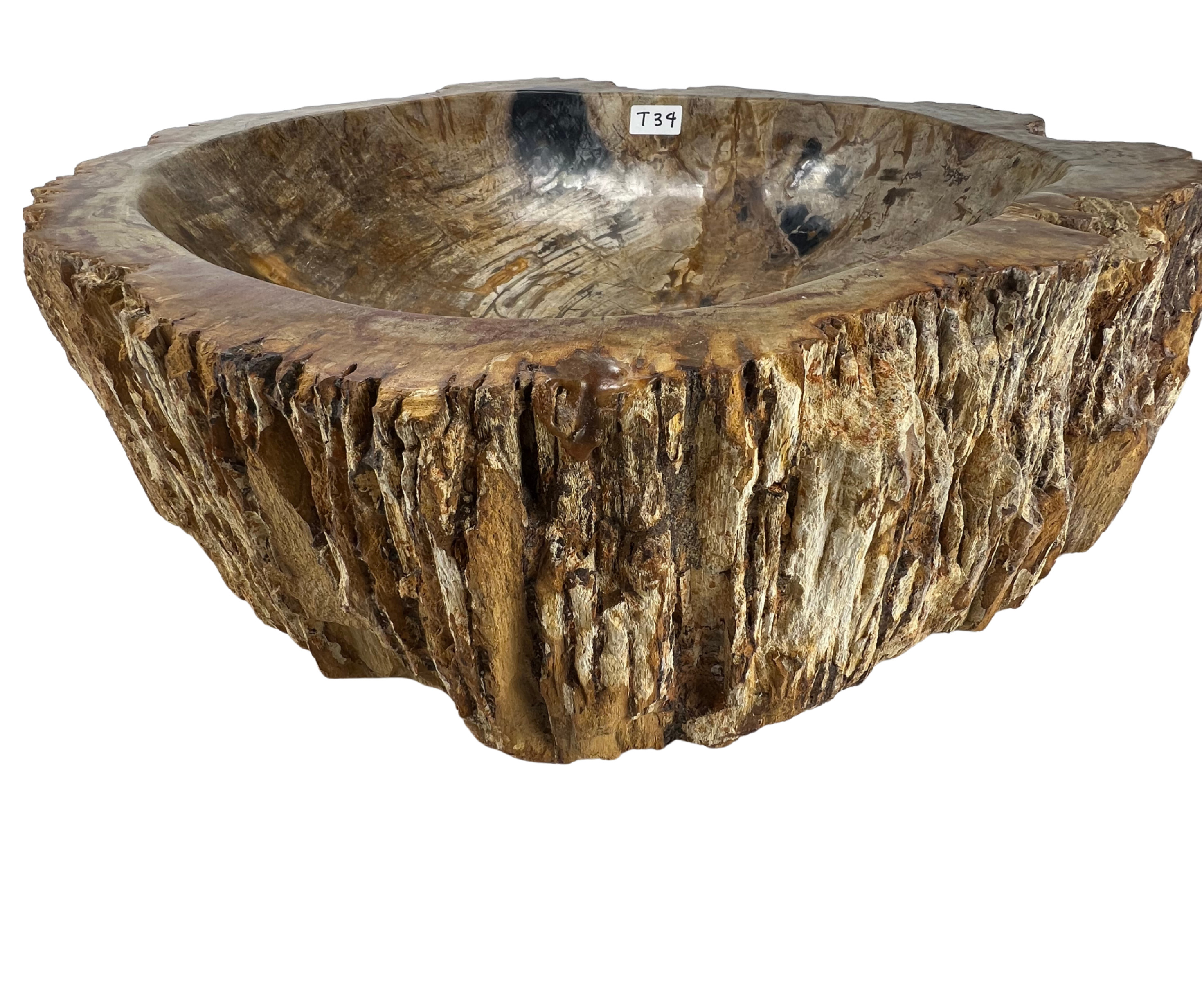 T34 - Madera Petrificada Indonesia - 57 x 55 x 15