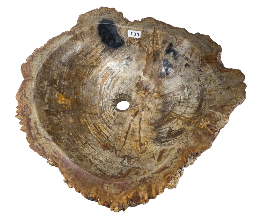T34 - Madera Petrificada Indonesia - 57 x 55 x 15