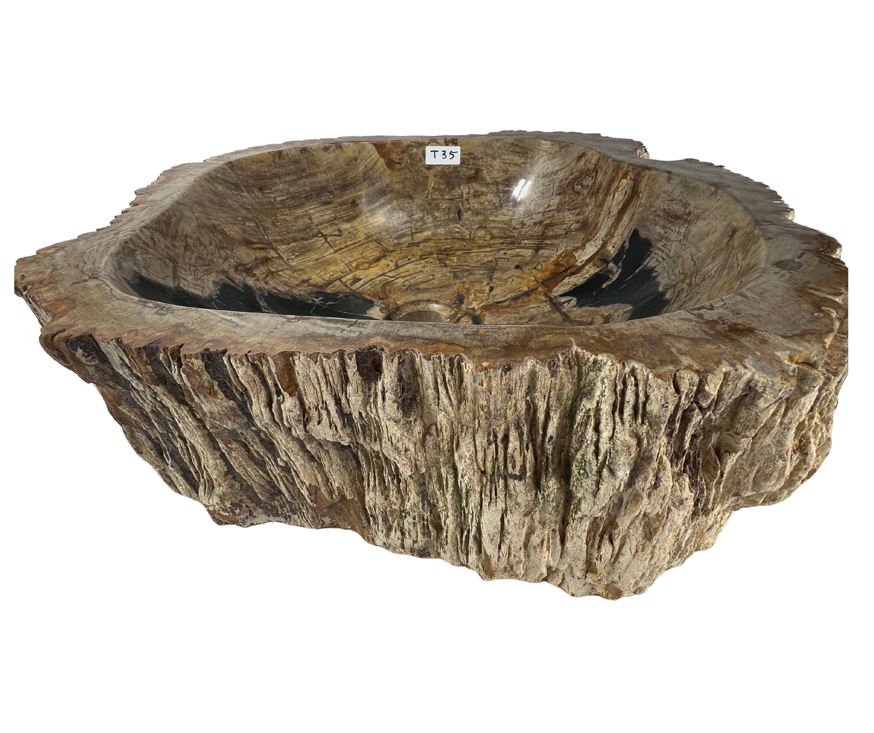T35 - Madera Petrificada Indonesia - 51 x 47 x 15.5