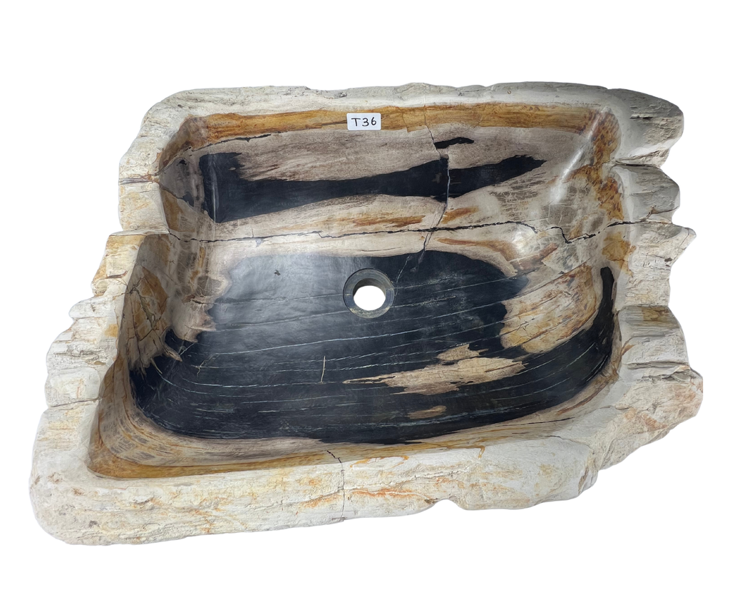 T36 - Madera Petrificada Indonesia - 57 x 45 x 15.5