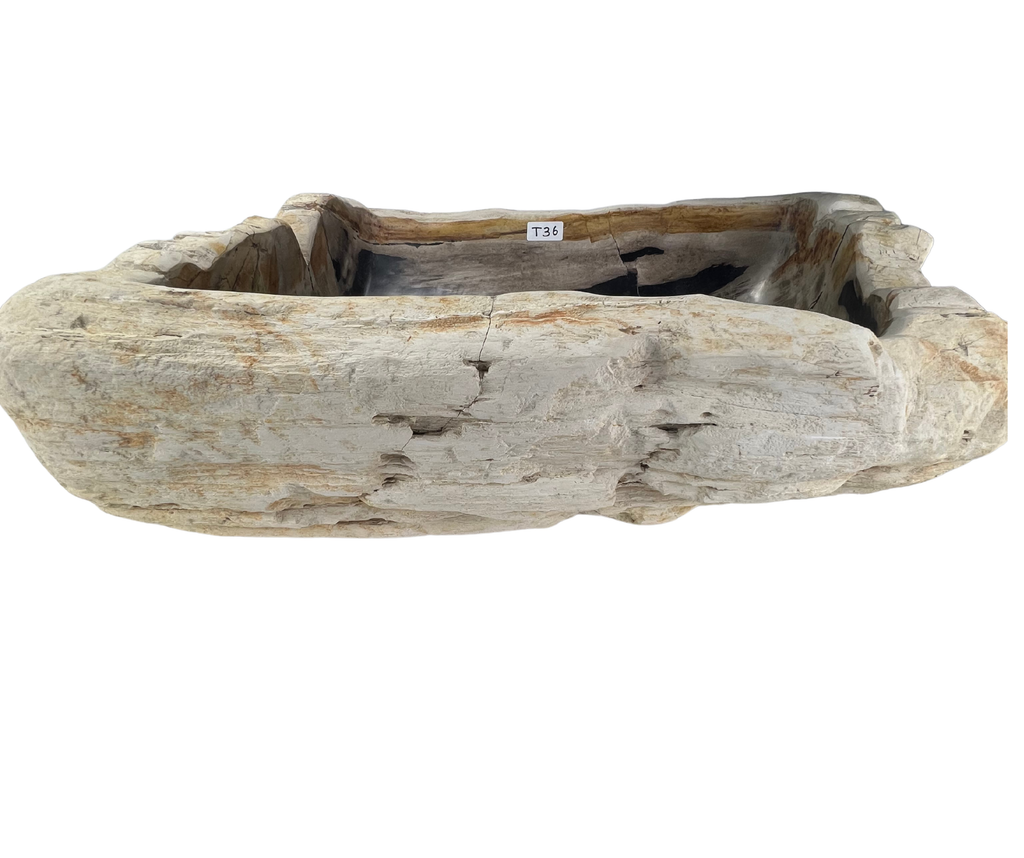 T36 - Madera Petrificada Indonesia - 57 x 45 x 15.5