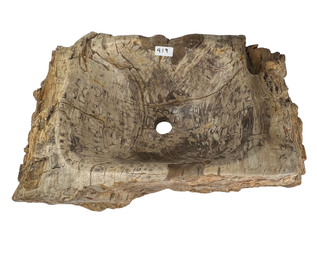 419 - Madera Petrificada - 52 x 34 x 18