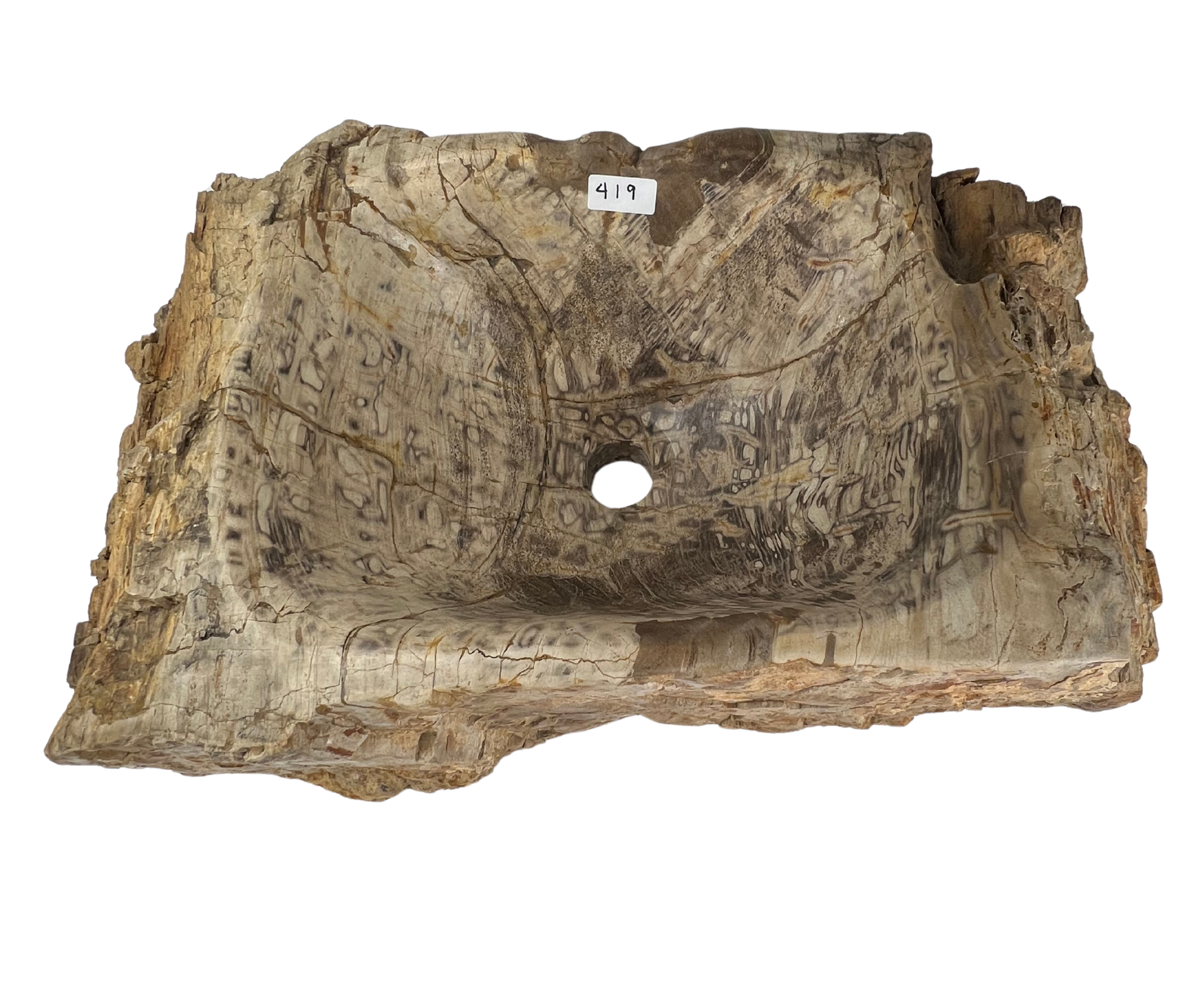 419 - Madera Petrificada - 52 x 34 x 18