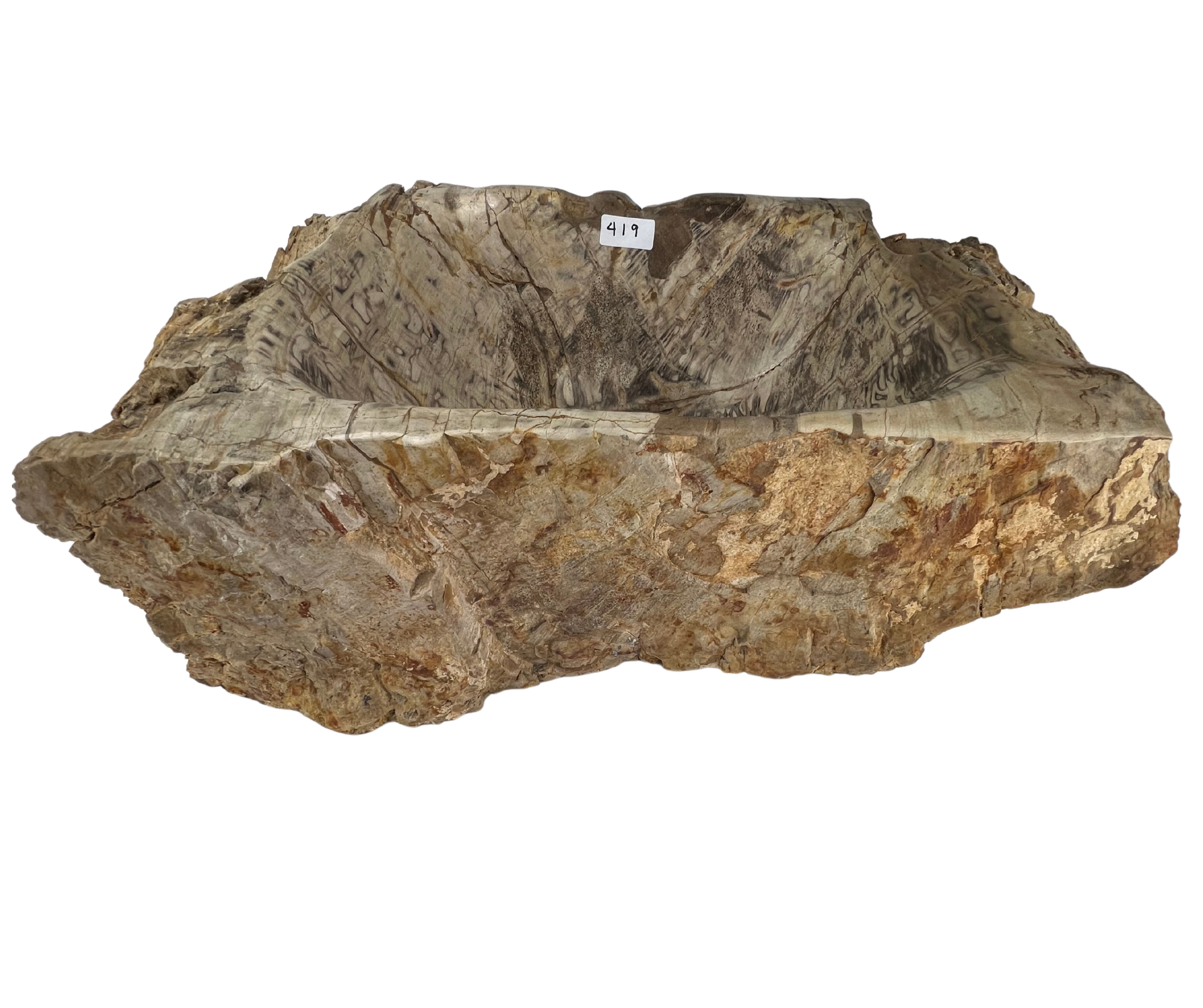 419 - Madera Petrificada - 52 x 34 x 18