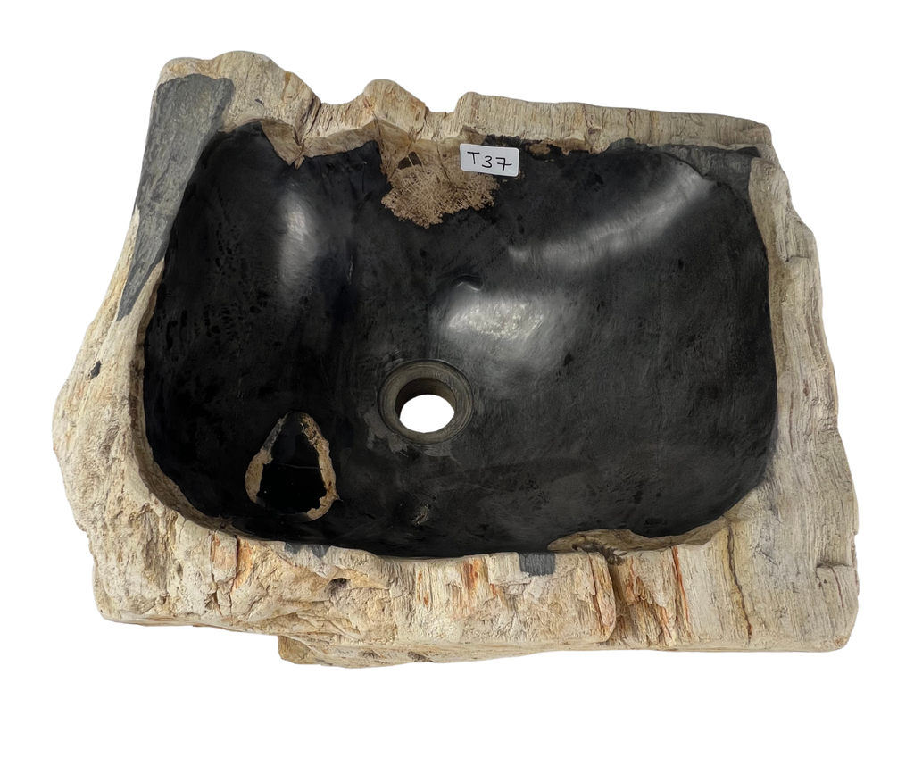 T37 - Madera Petrificada Indonesia - 57 x 45 x 21