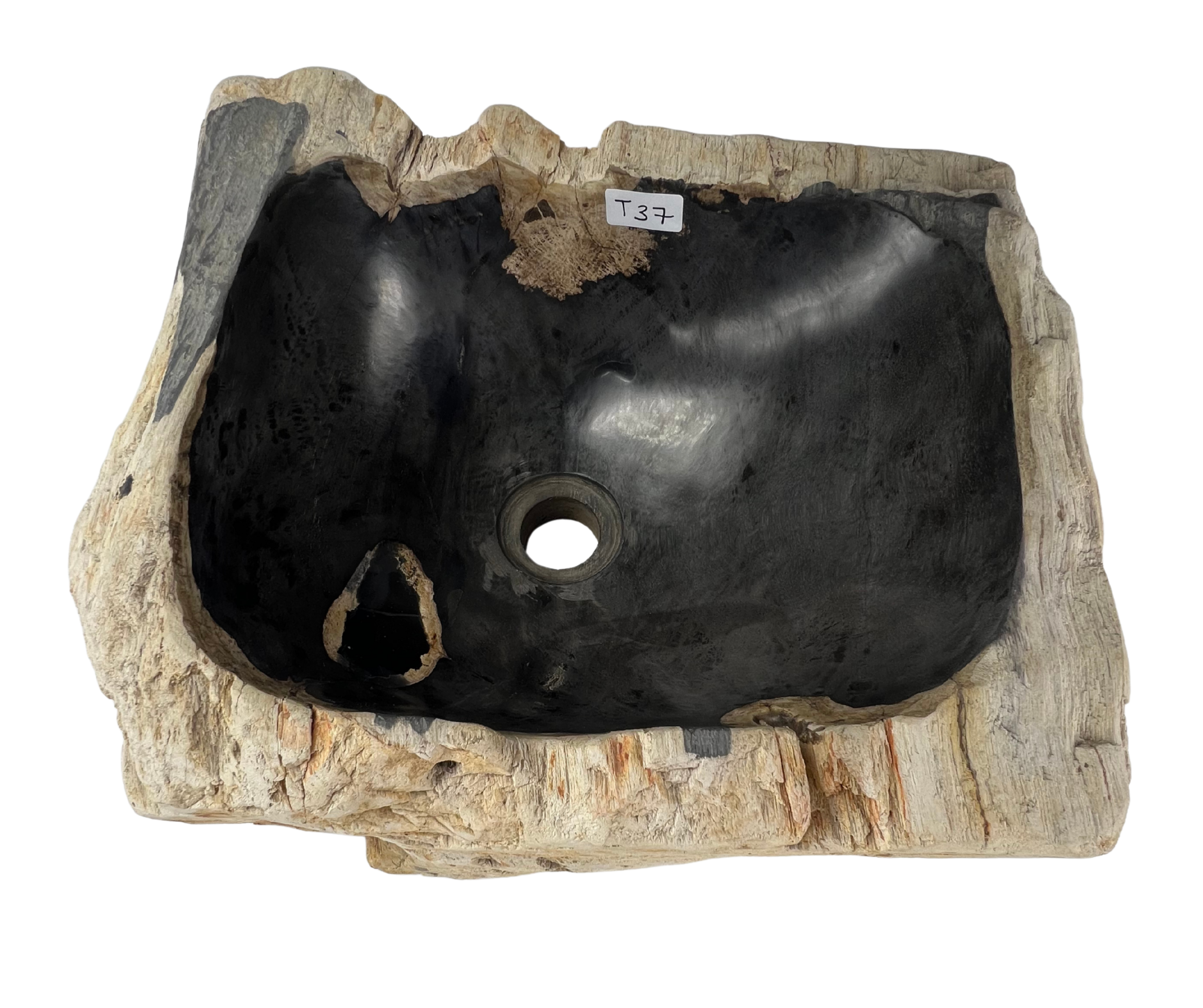 T37 - Madera Petrificada Indonesia - 57 x 45 x 21