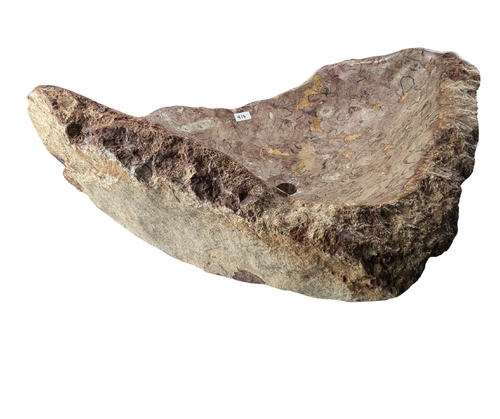 417 - Limestone Fosilizado Irregular Raw - 74 x 53 x 27