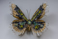 Mariposa Grande Dorada 1
