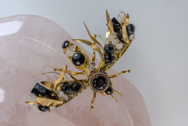 Abeja Grande Negro
