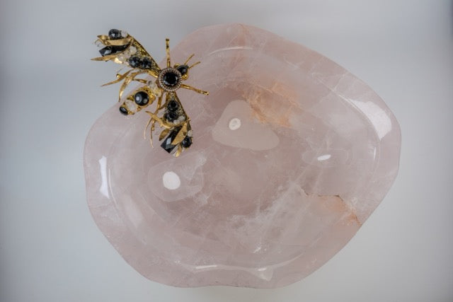 Abeja Grande Negro