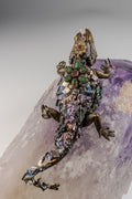 Amatista con Iguana