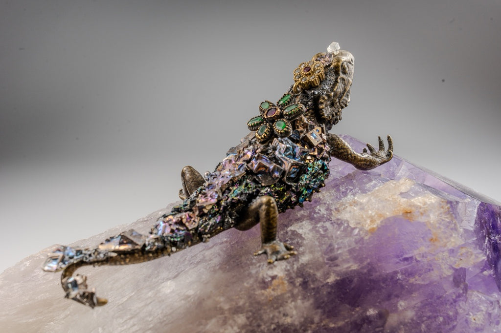Amatista con Iguana