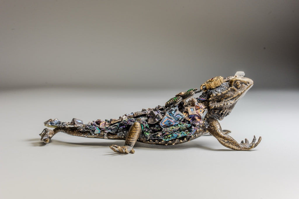 Amatista con Iguana