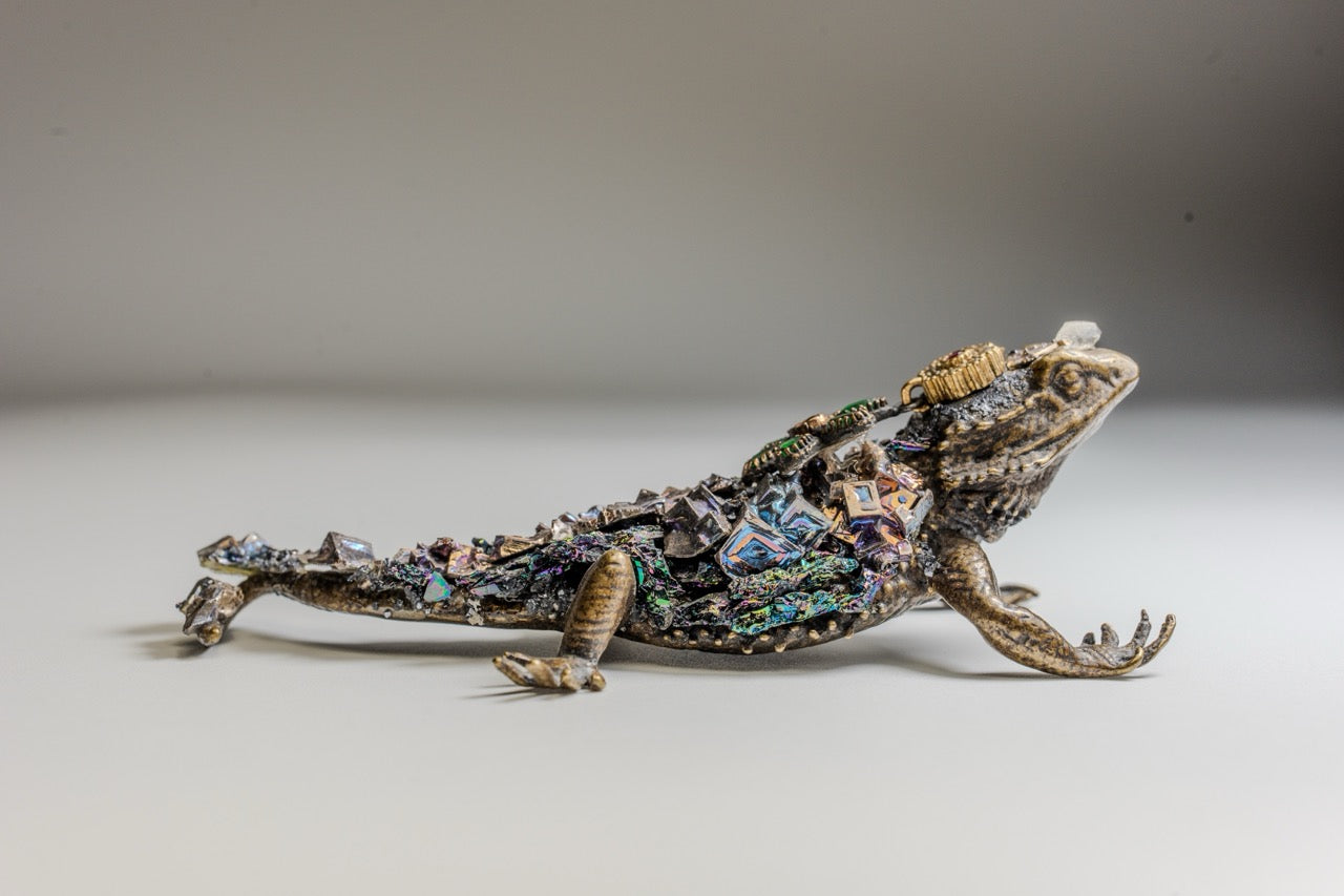Amatista con Iguana