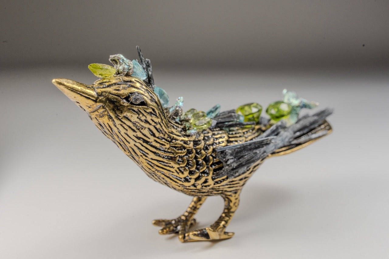 Pájaro Dorado Chico 1