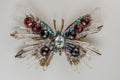 Mariposa Mediana 3