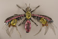 Abeja Plateada 3