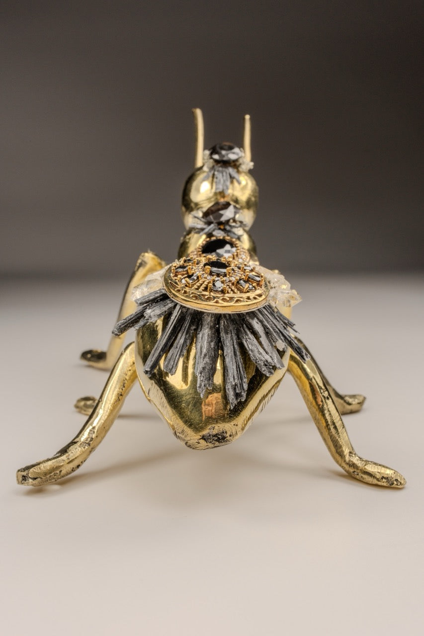 Hormiga de Bronce Mediana-Gde