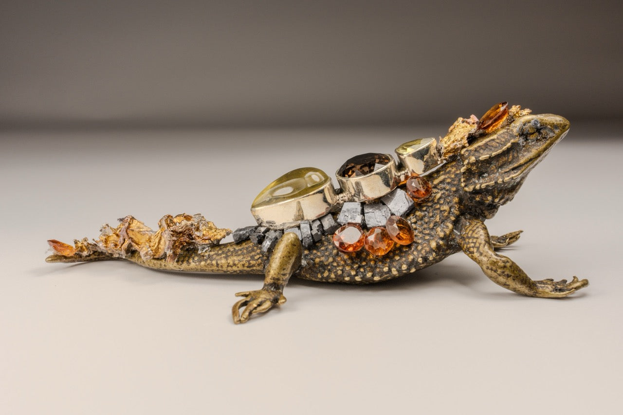 Iguana Metal Med