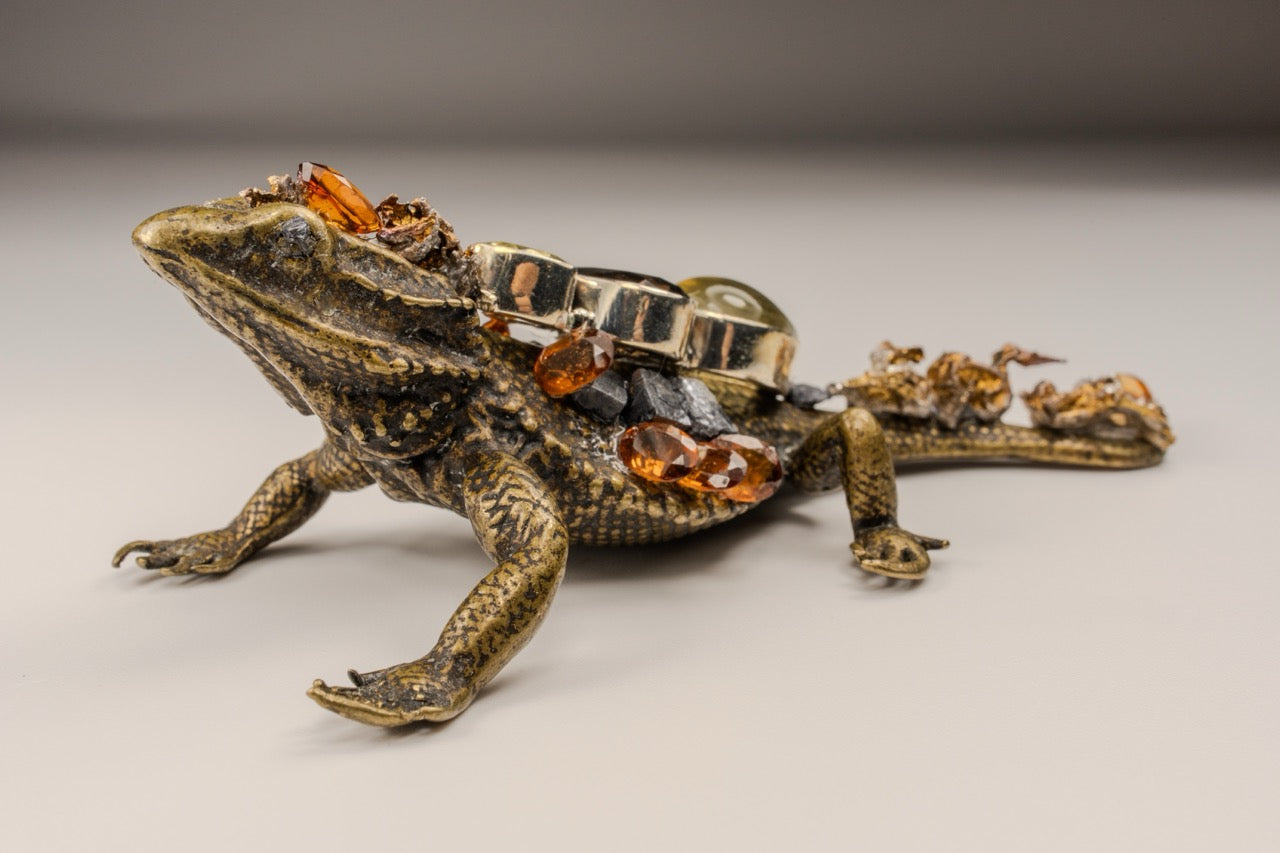 Iguana Metal Med