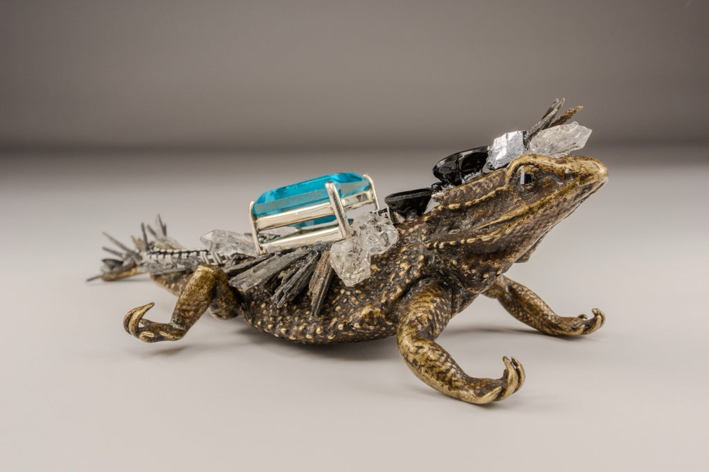 Iguana Metal Med