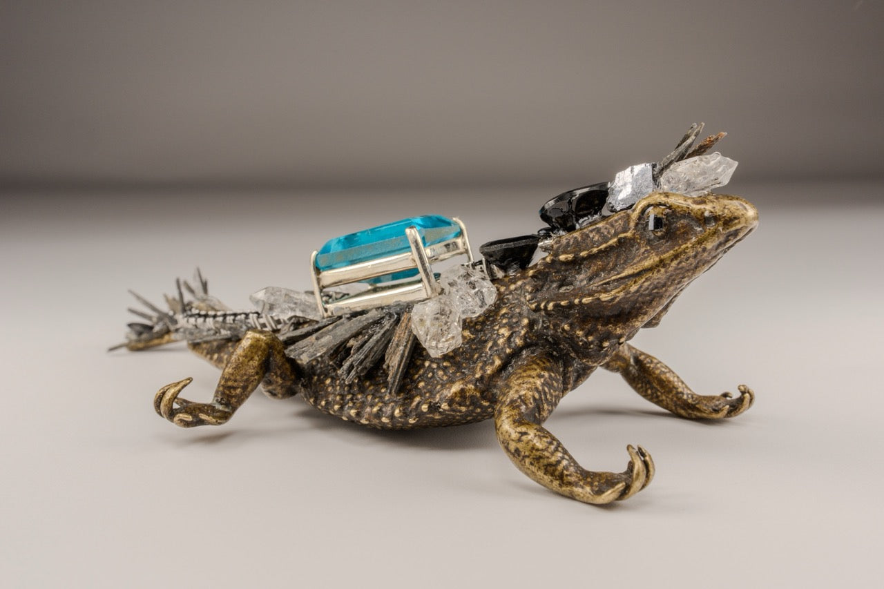Iguana Metal Med